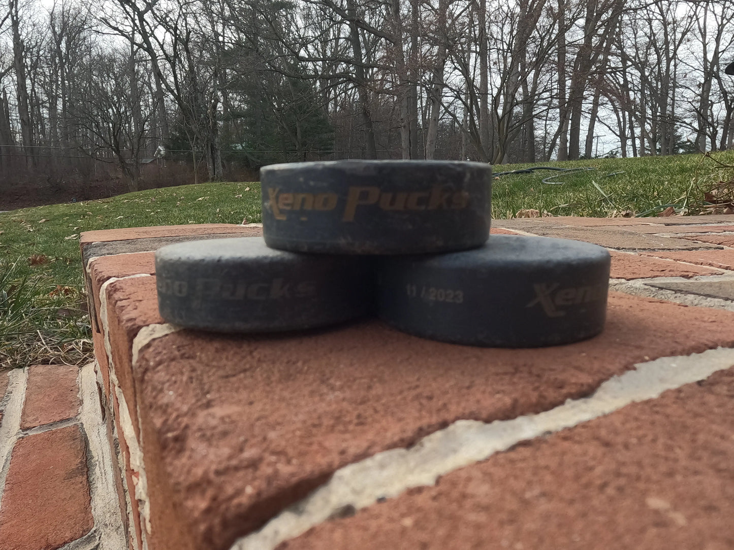 Xenopuck - Engraved - Xenopucks.com