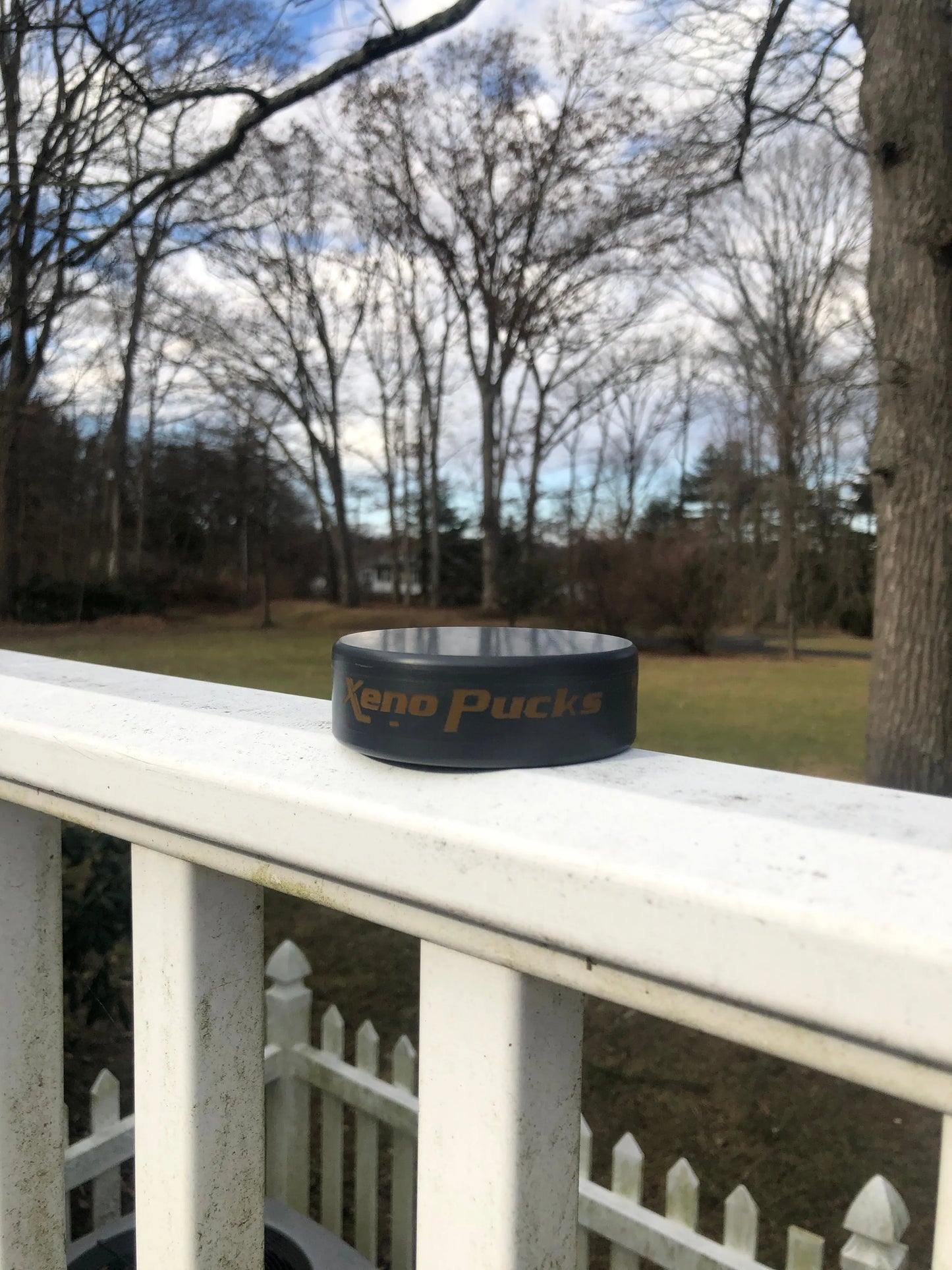 Xenopuck - Engraved - Xenopucks.com
